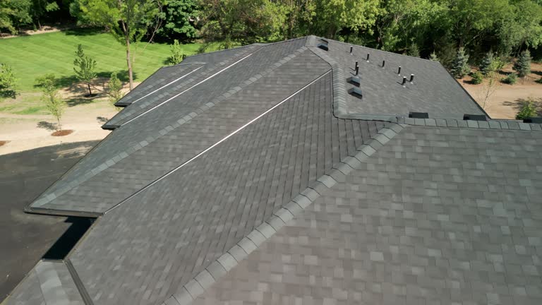 Best Roof Coating and Sealing  in Salida Del Sol Estates, TX